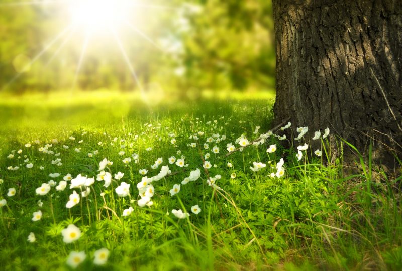 Verano, una época para desconectar