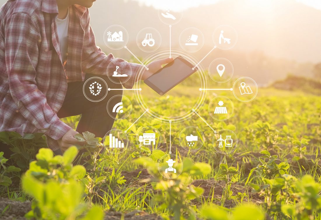 IoT en agricultura