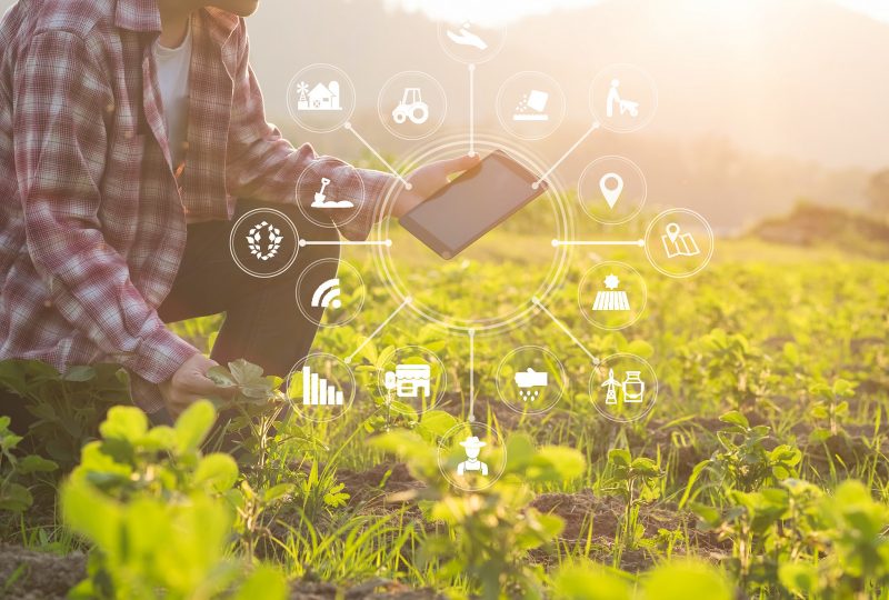 IoT en agricultura