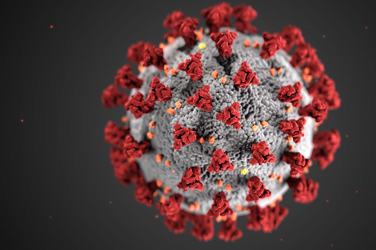 impactos económicos del coronavirus