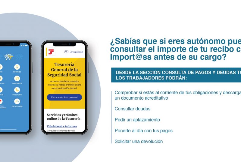 consulta recibo autonomo