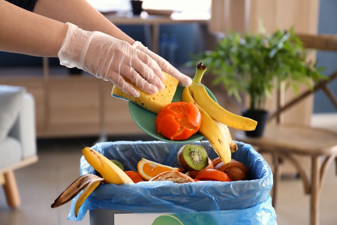 desperdicio alimentos